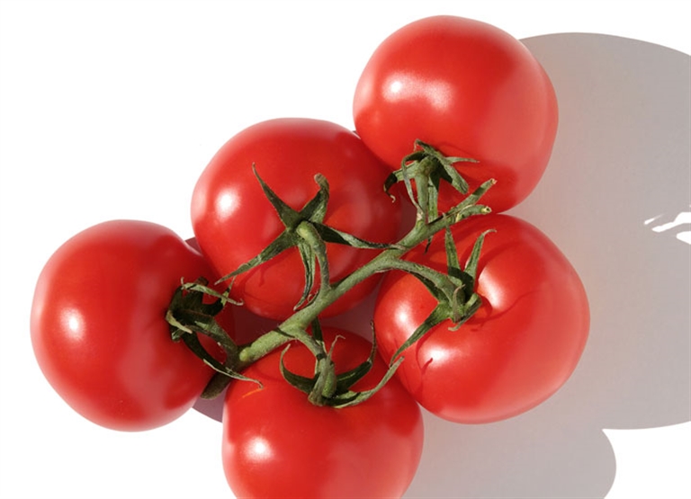 Humidification in food & beverage manufacturing