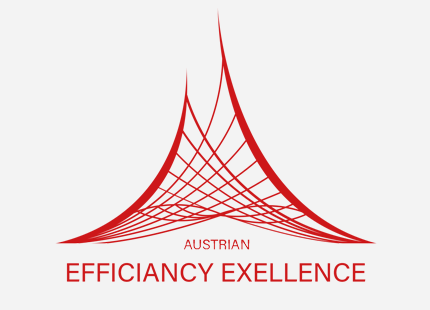 AUSTRIAN EFFICIENCY EXCELLENCE 